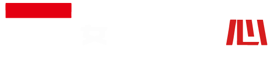 数字光芯 Lightchip
