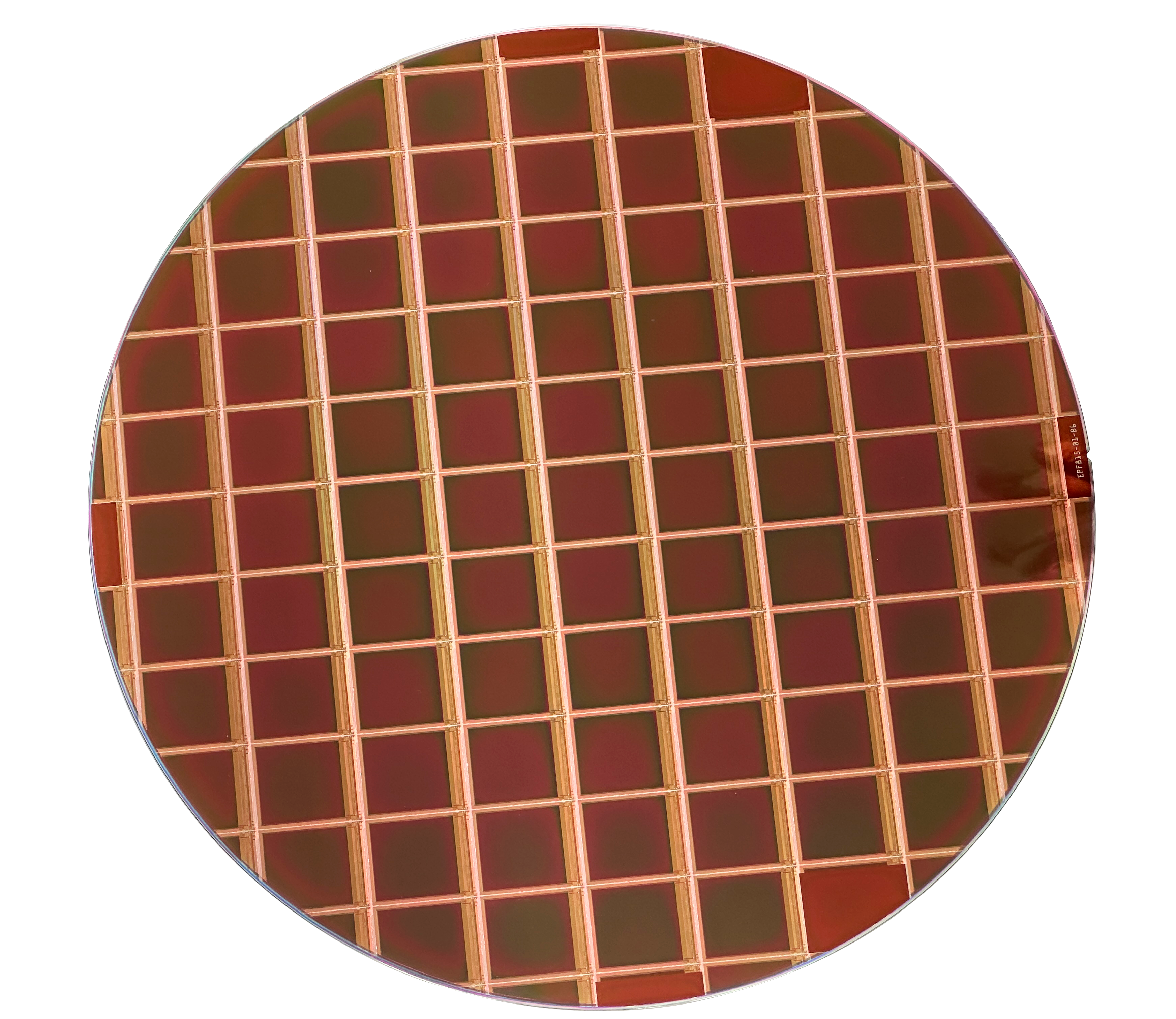 Micro OLED 晶圆