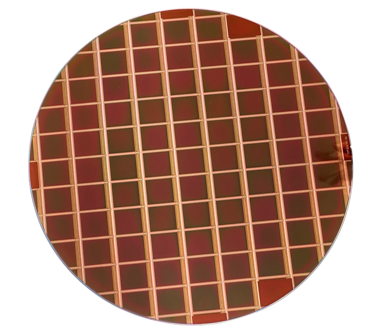 Micro OLED 晶圆